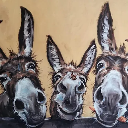 The Velvet Crab Scarborough